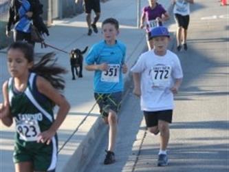 turkey trot 2013